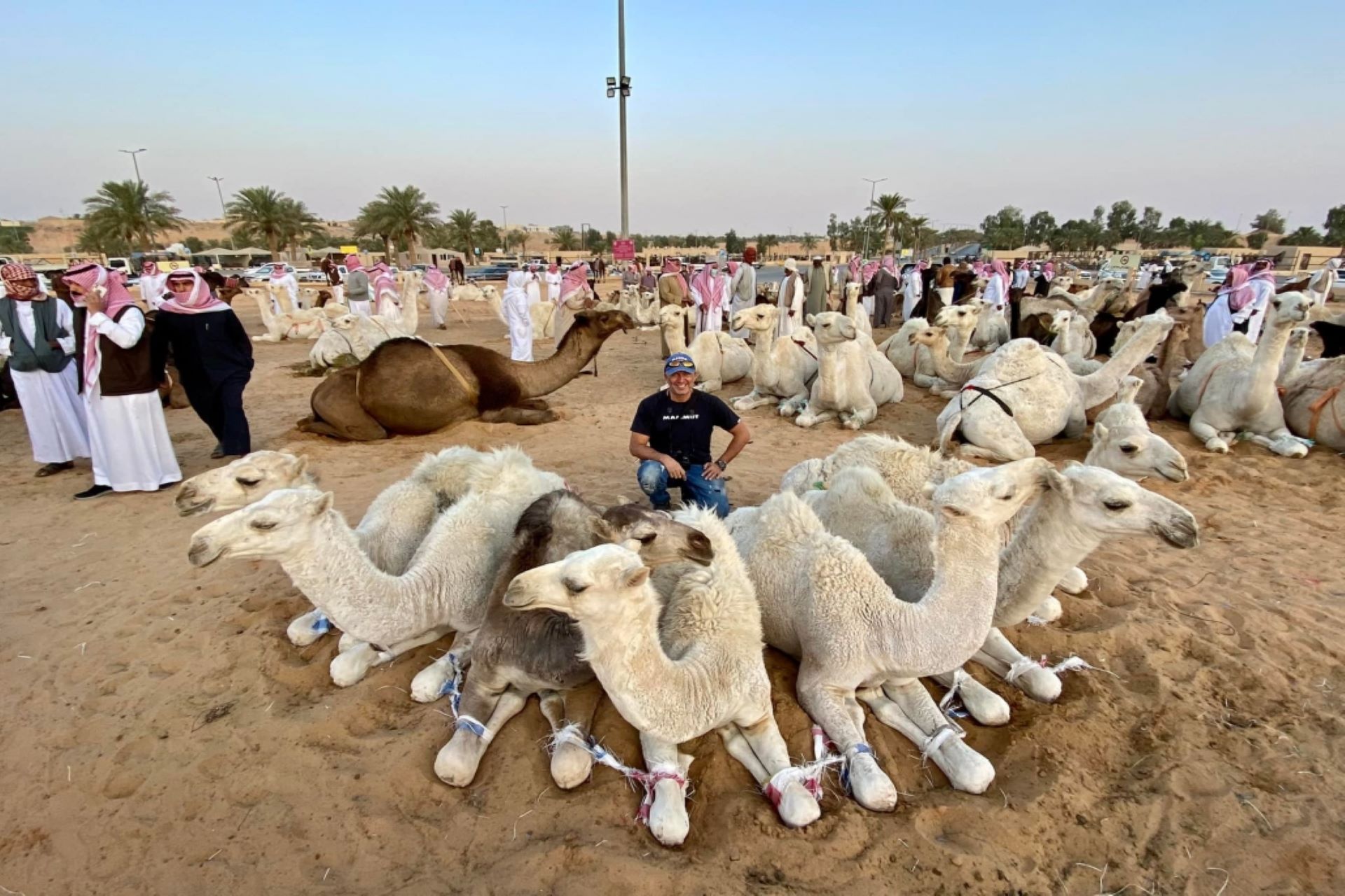 Qassim - Camel Market - Hail